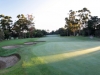 12th-green-and-fairway-2-001